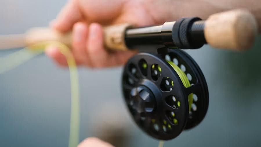 Shoreline & Game Fishing