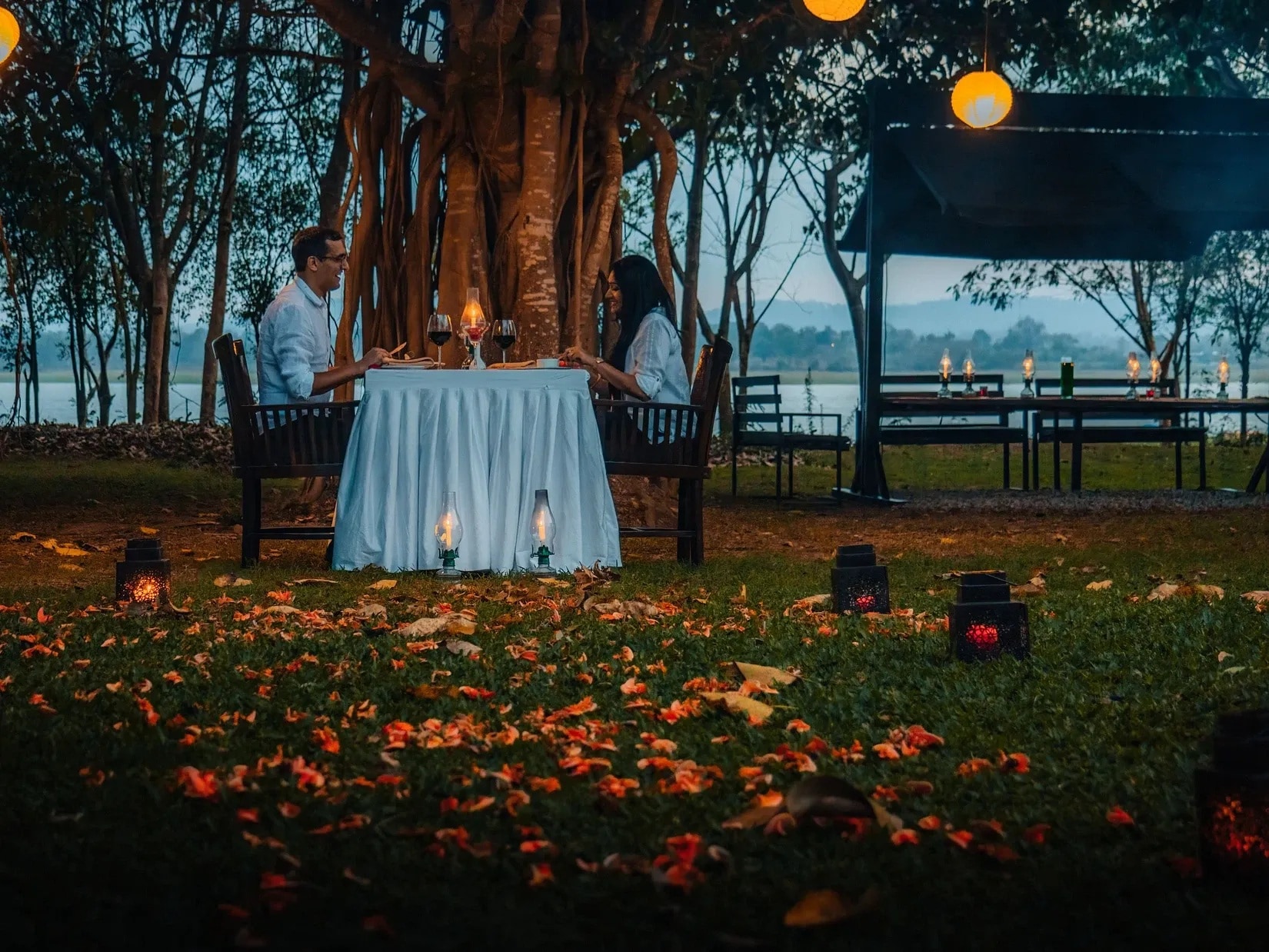 Dining Under the Stars