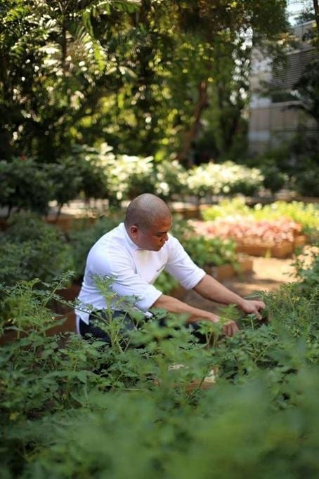 Farm-to-table Dining