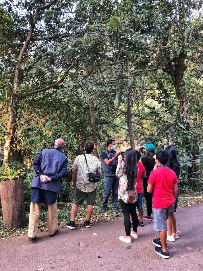 Wilderness Walk