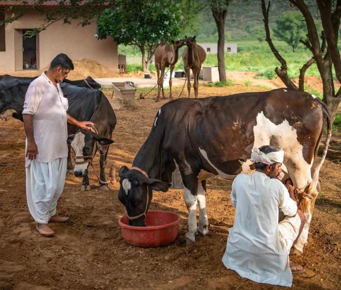 Dairy & Animal Care Classes