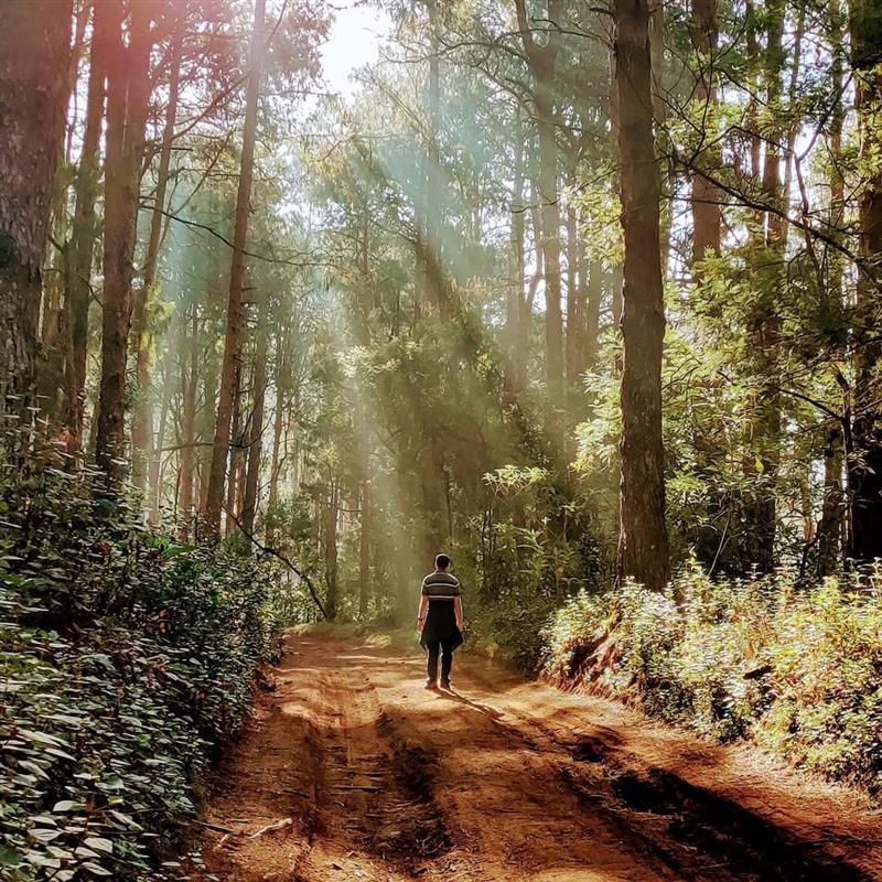 Nature Walks & Fishing