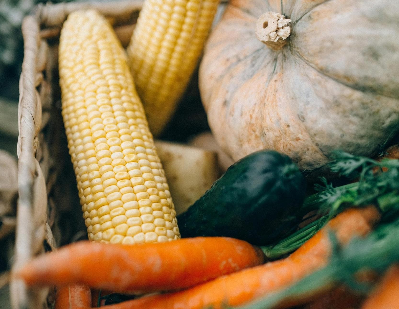 Farm Tour with a Feast