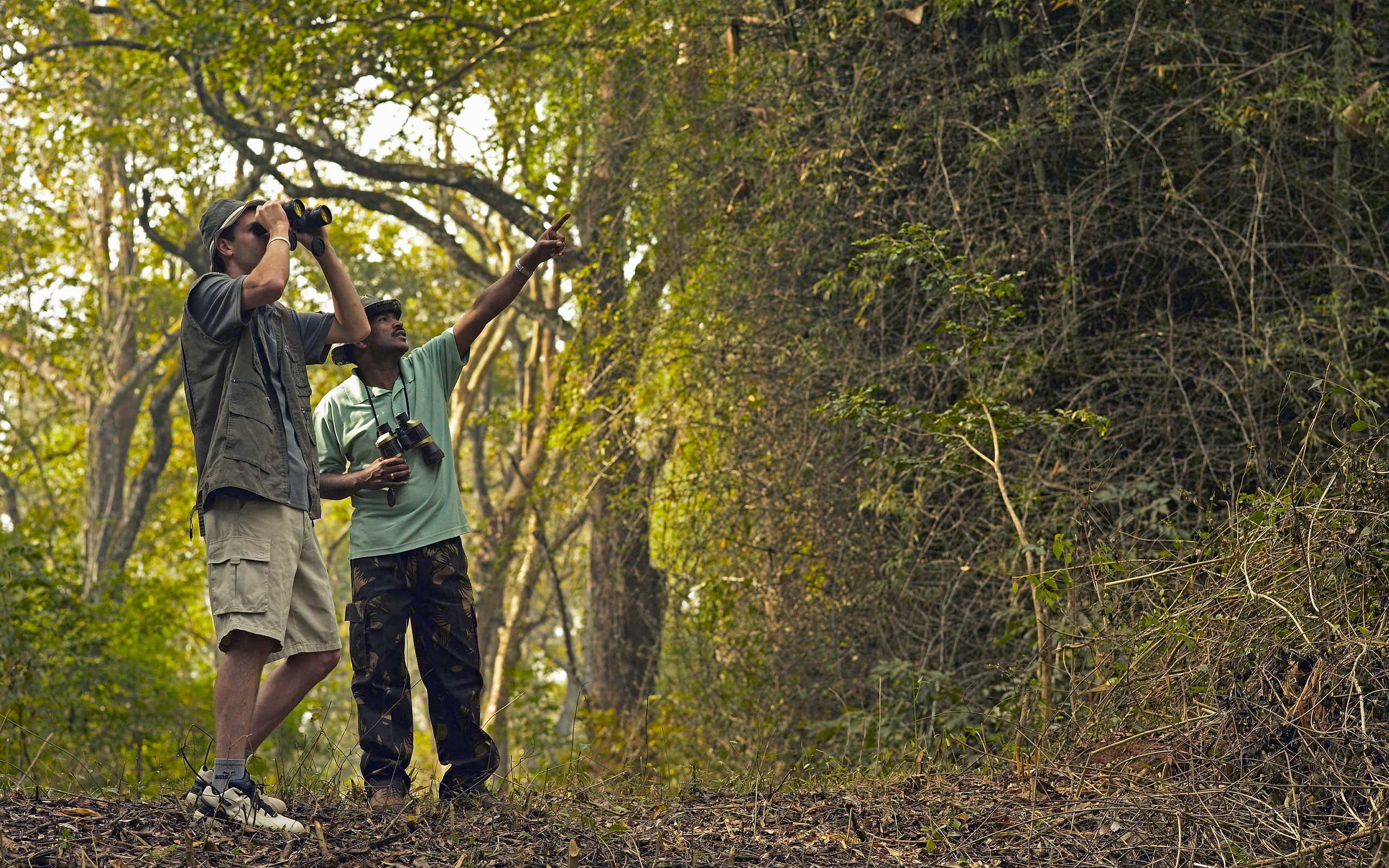 Birdwatching Tour