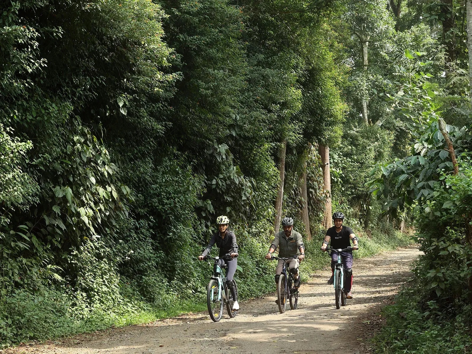 E-bike Adventure