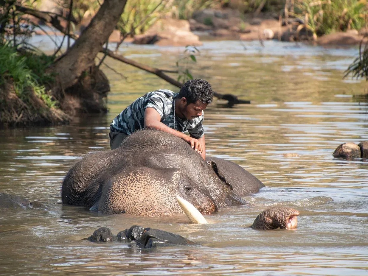 Elephant Camp Visit