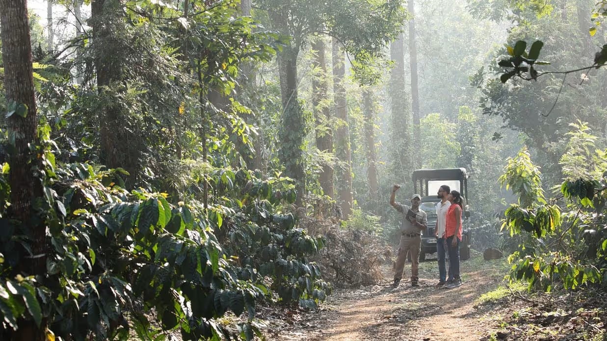 Plantation Tour