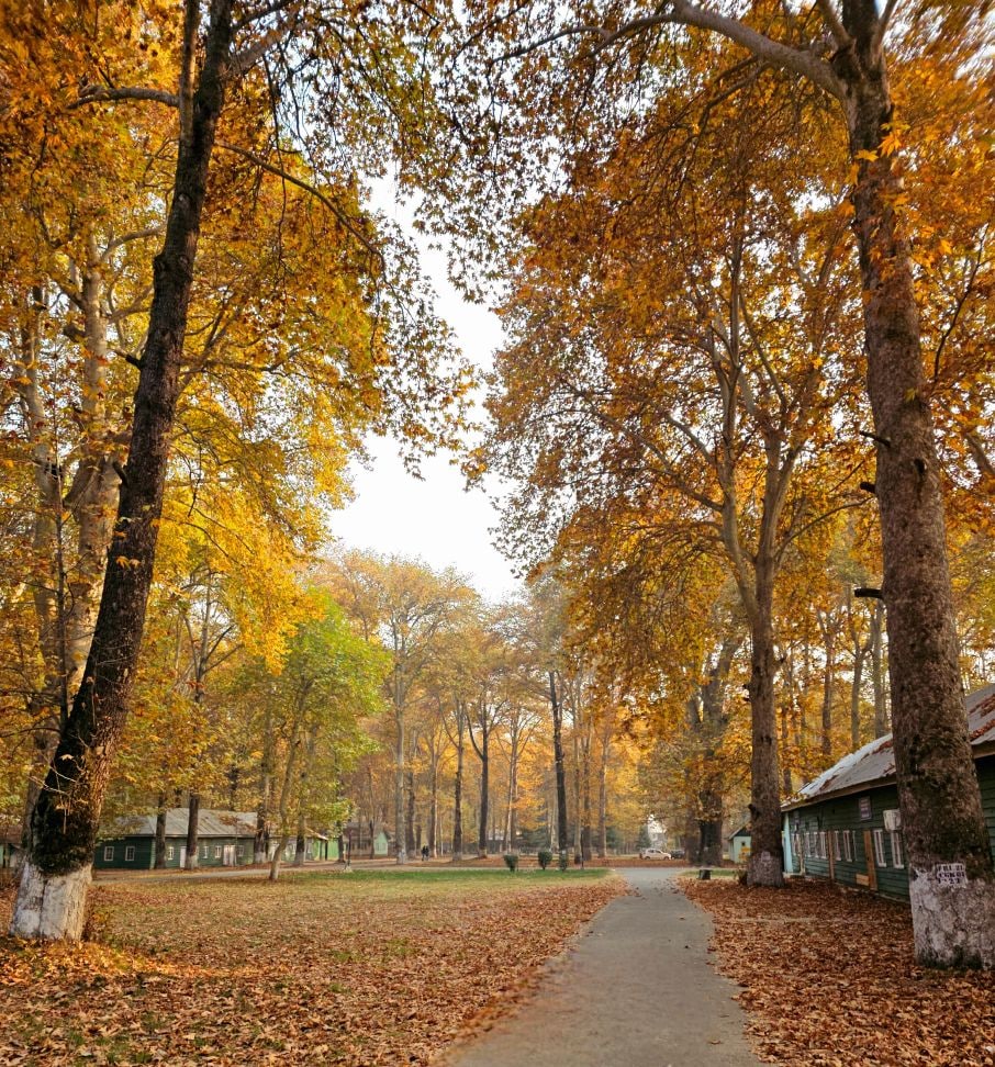 Heritage Walk