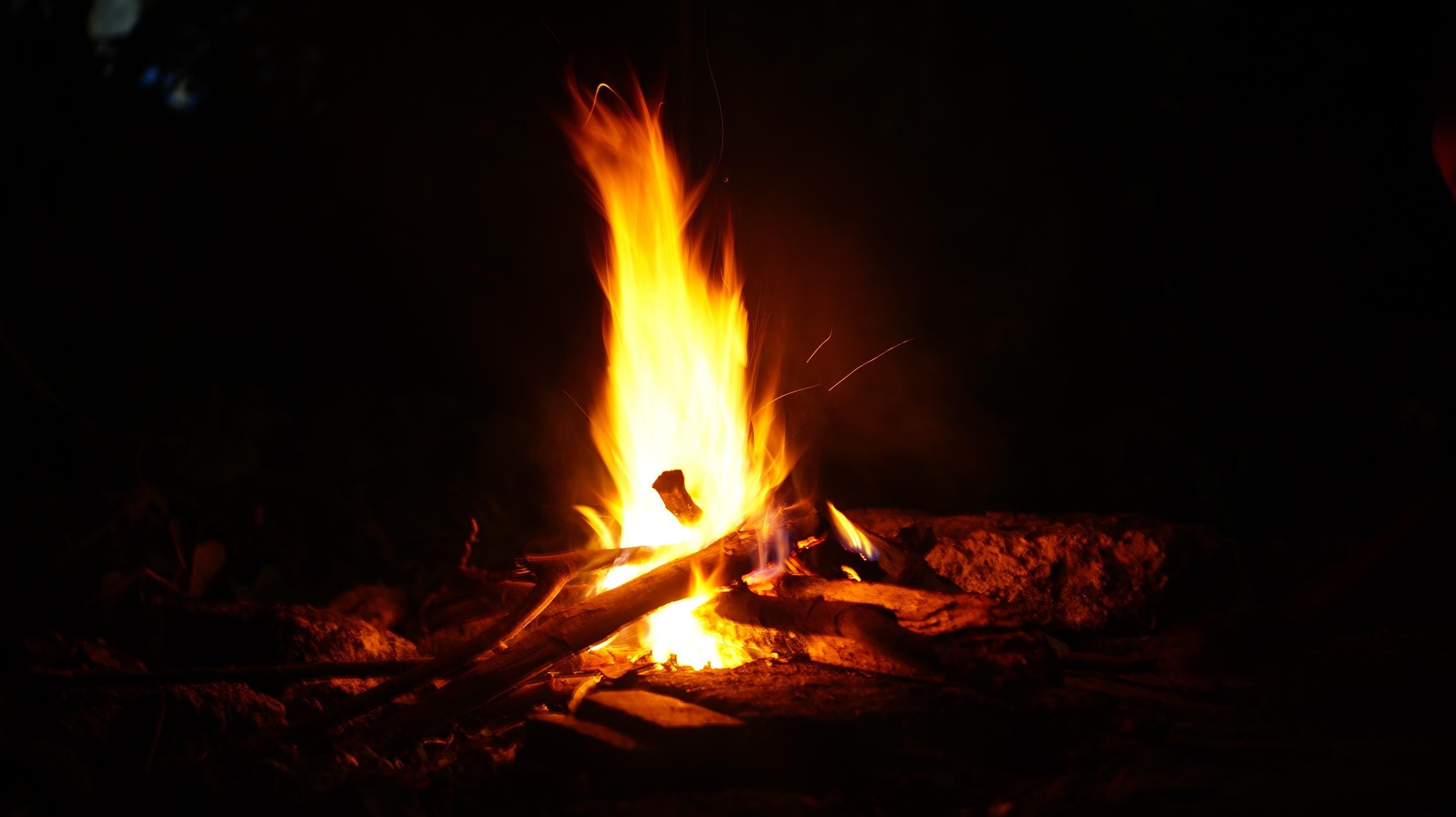 Bonfire with Live Music