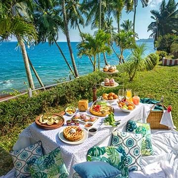 Island View Picnic