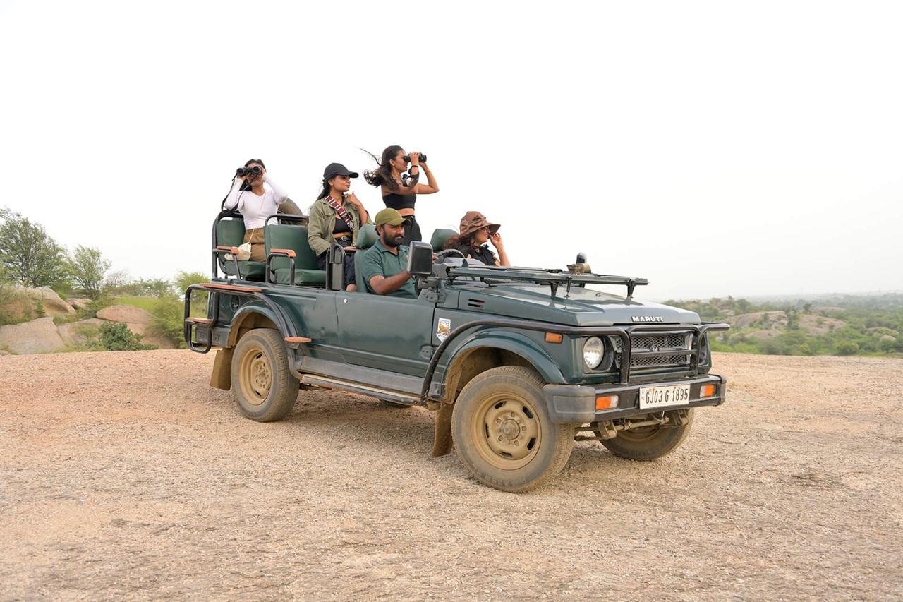 Guided Leopard Safari