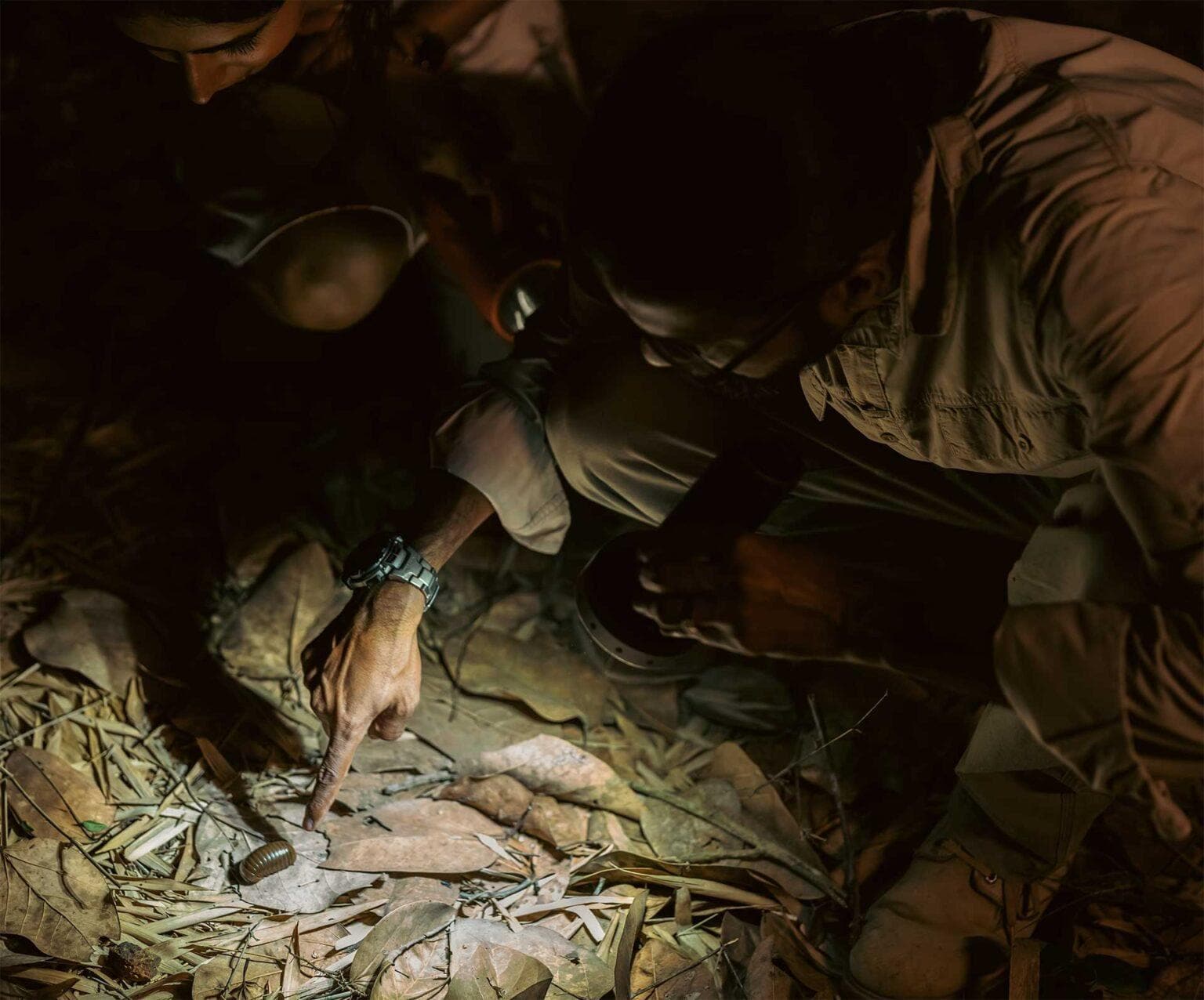 Kabini’s Small Wonders