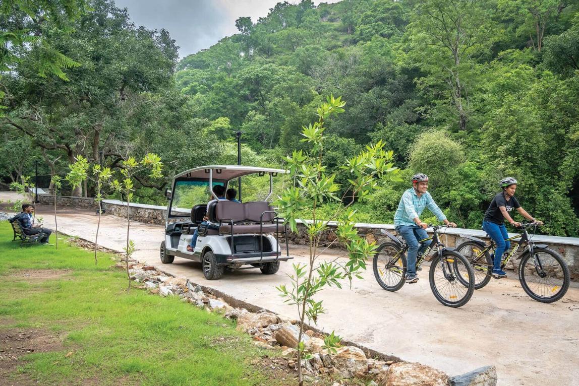 Indoor & Outdoor Games