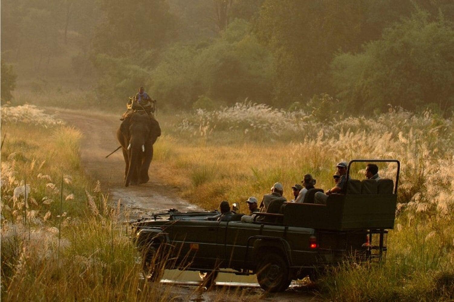 Safaris in Buffer Zone