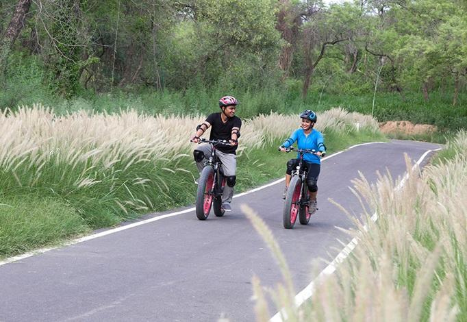 Mountain Biking