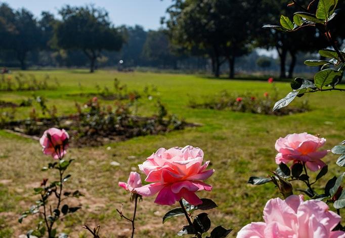 Tour of Chandigarh Gardens