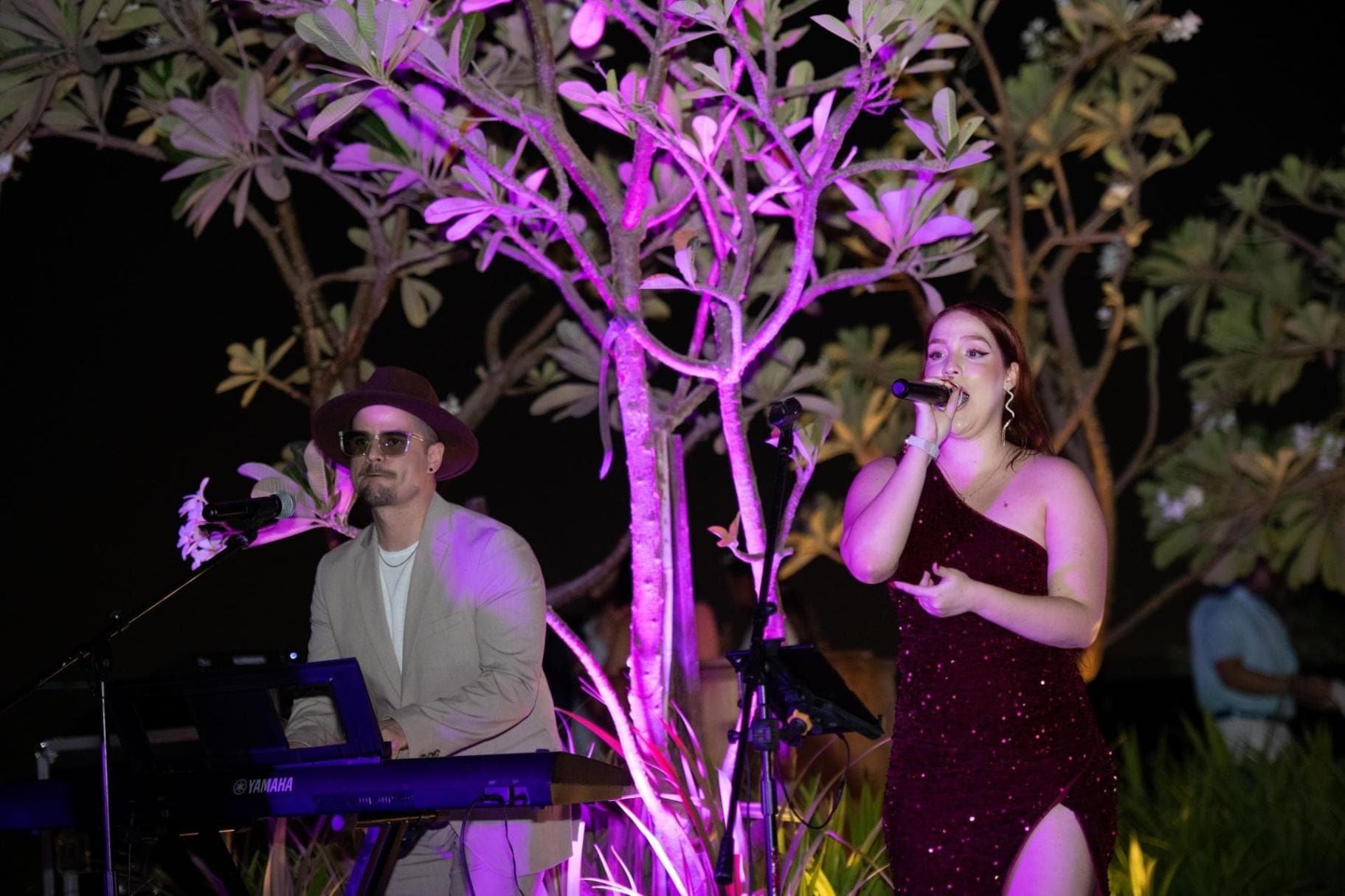 Rooftop Dining with Live Music