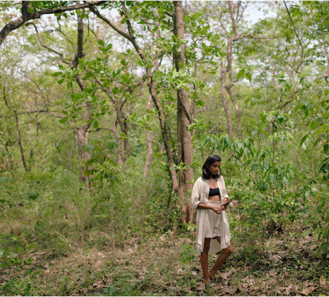 Birdwatching & Nature Trail