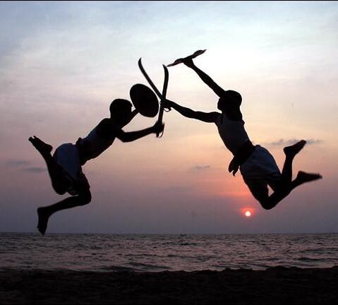 Kerala Martial Arts Show