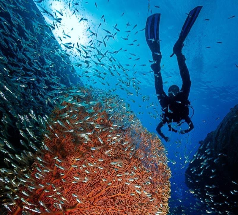 Deep Sea Diving