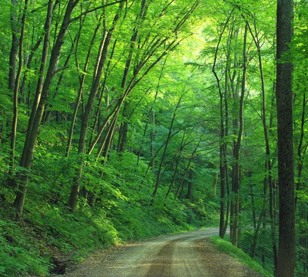 Nature Trail