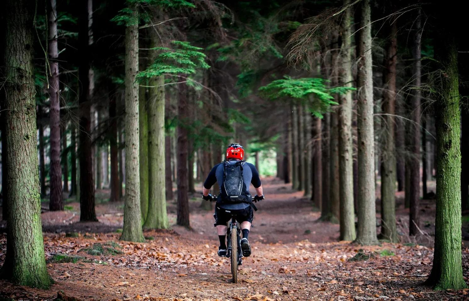 Cycling