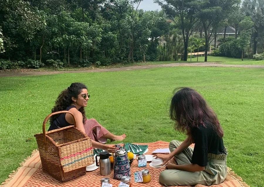Curated Picnics