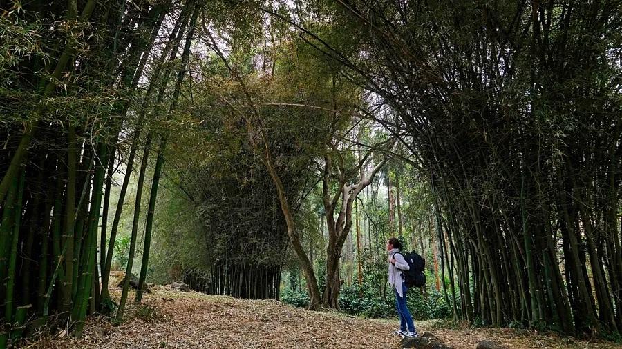 Nature Trail & Birdwatching