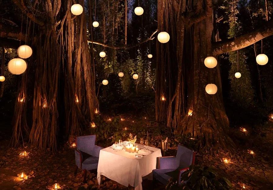 Starlit Dinner with Wine