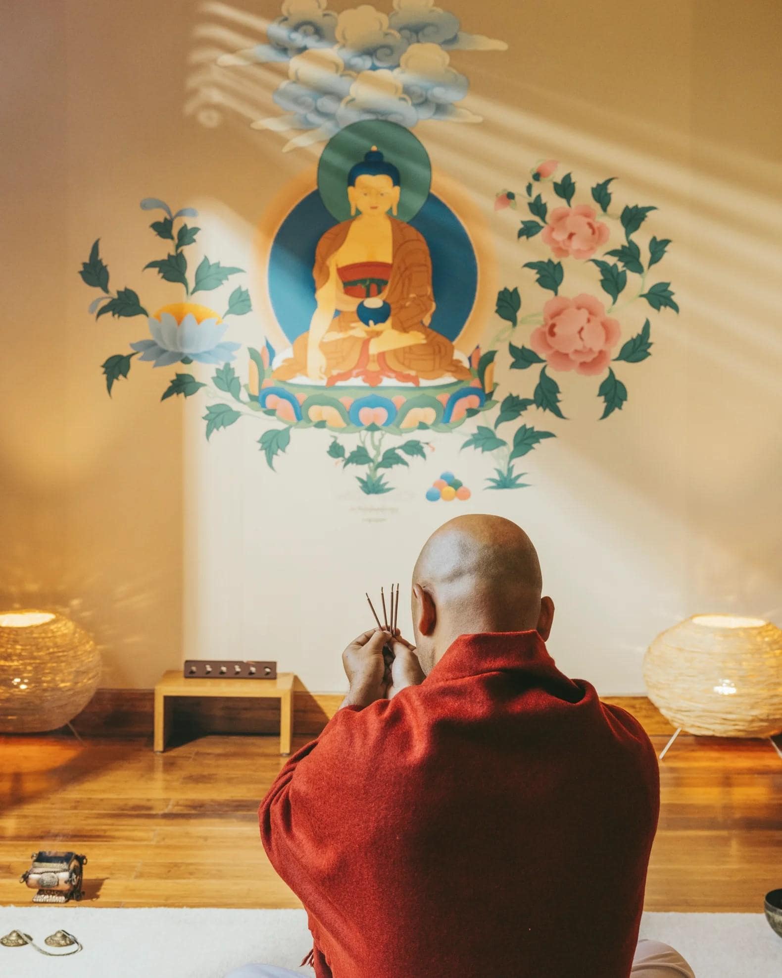 Tibetan Healing Programme