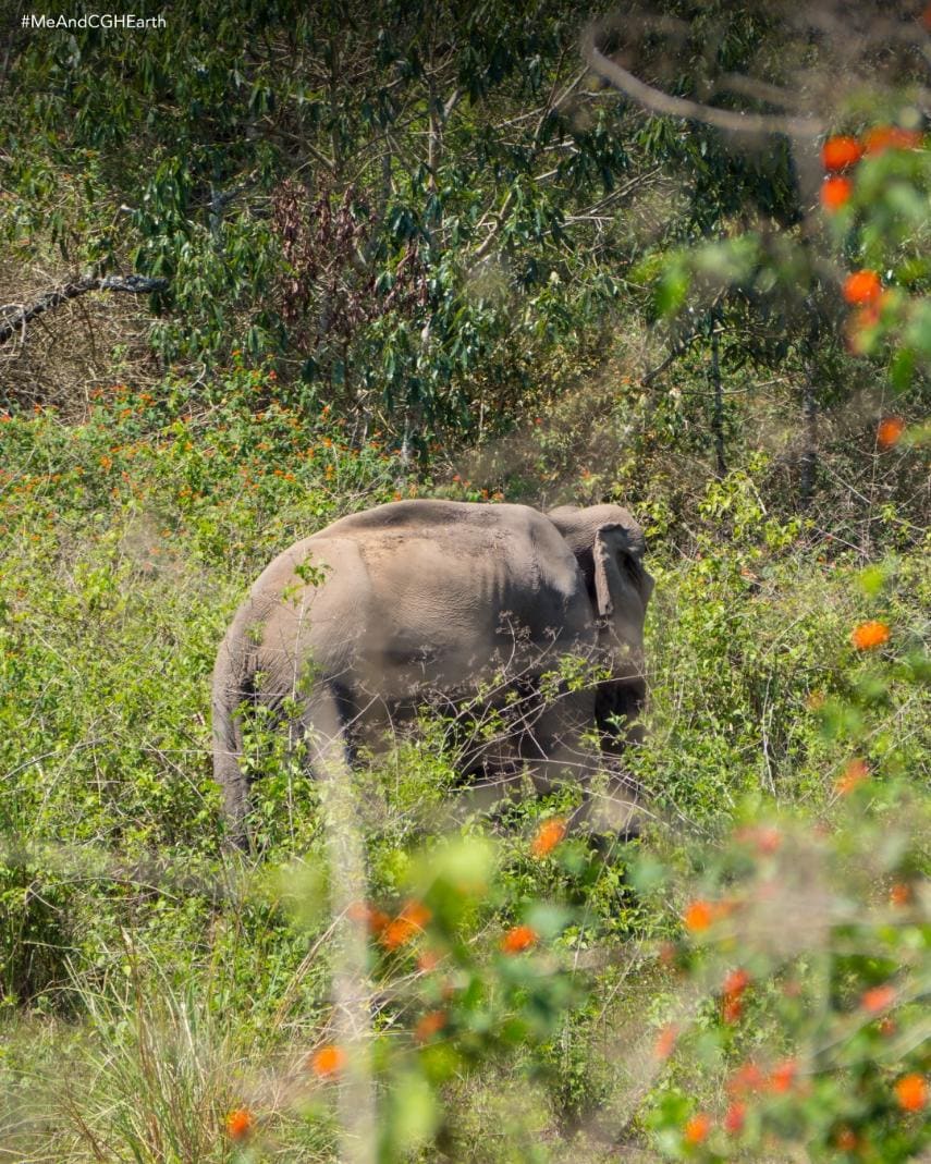 Trek at Periyar Tiger Reserve