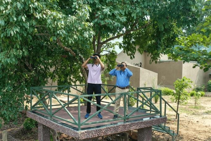 Guided Bird Watching