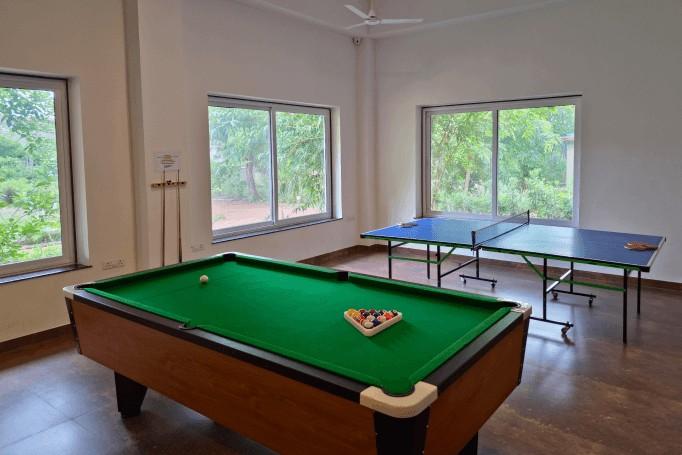 Indoor Entertainment