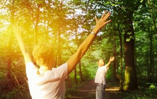 Forest Bathing
