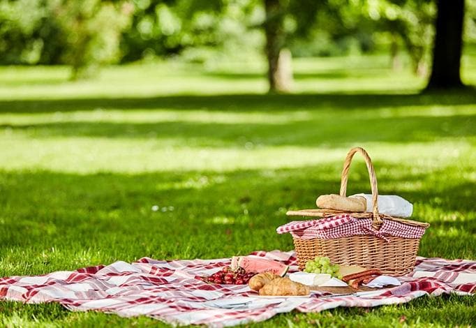 Picnic at Glen Forest