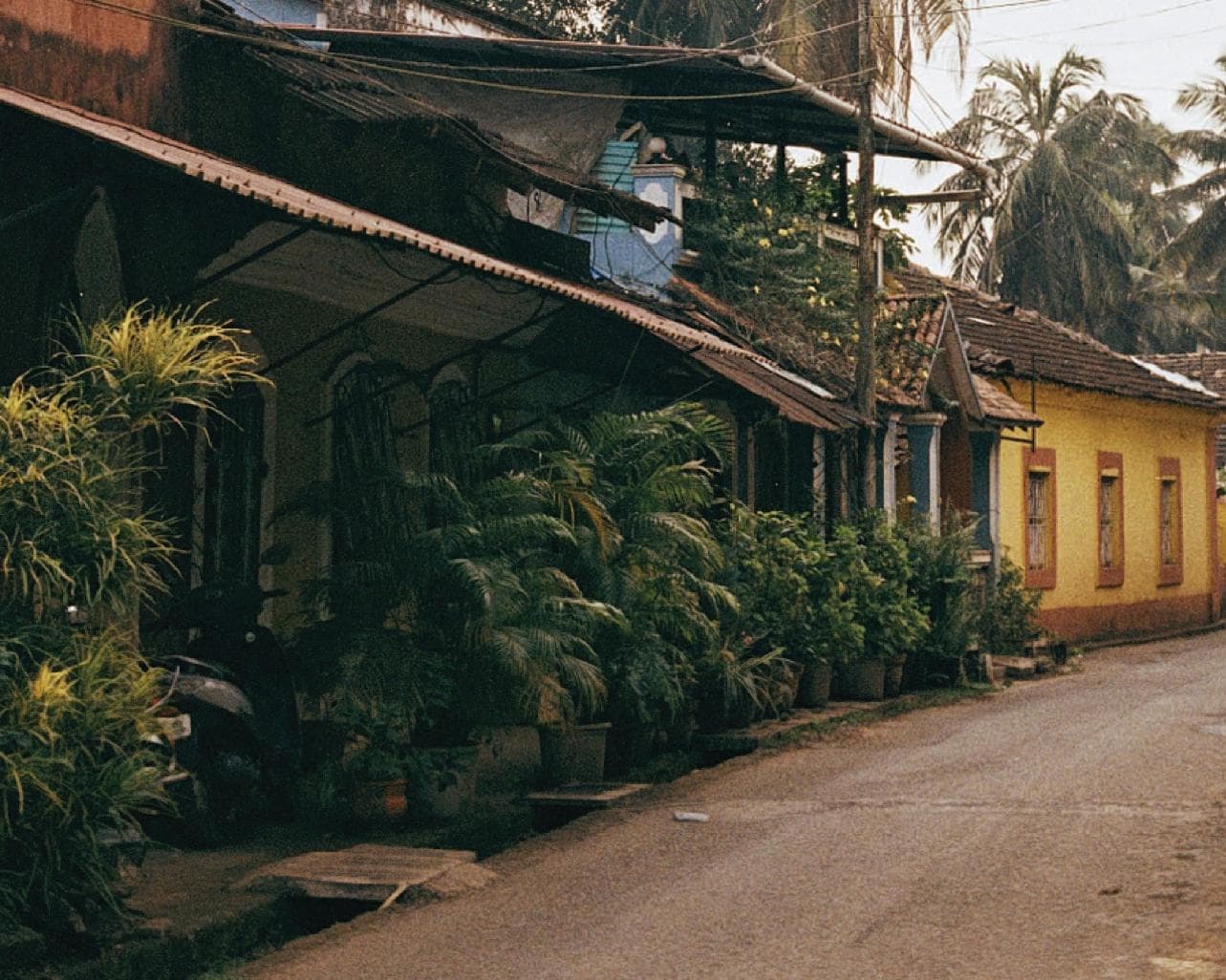 Village Tour & Local Tea