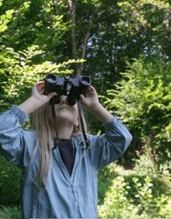 Birdwatching for Kids