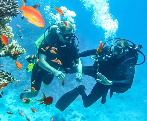Discover Scuba Diving