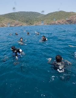Little Ocean Divers