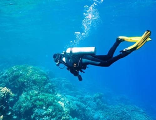 Fun Dive