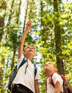Guided Nature Walk