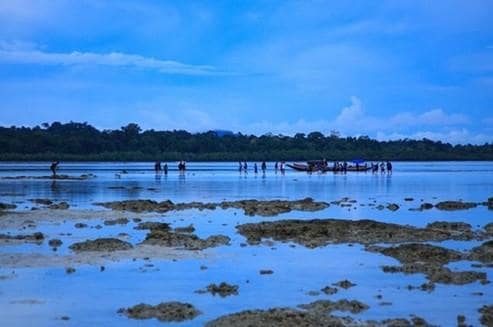 Intertidal Walk