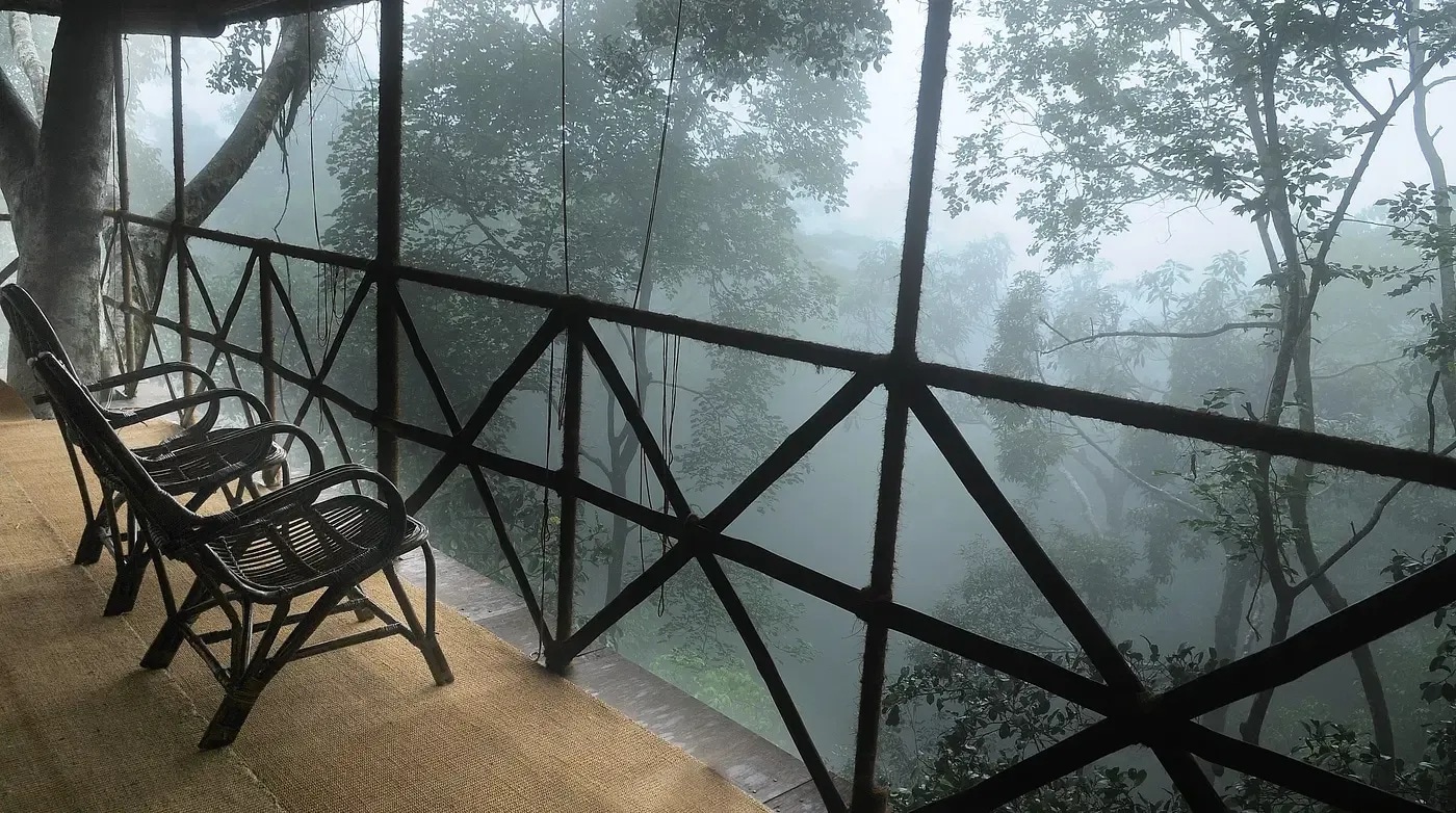 Tree House Stays