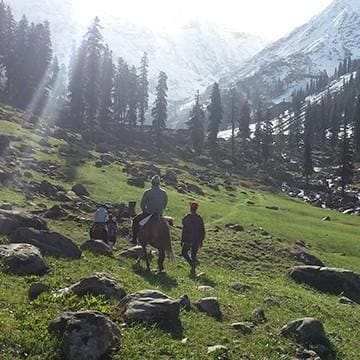 Trekking & Pony Rides