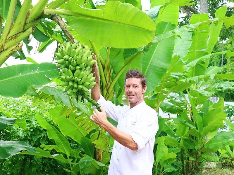 Thai Gourmet Cooking Class