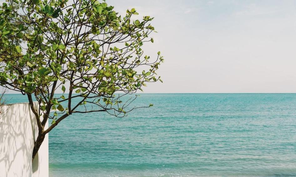 Kimpton Kitalay Samui, an IHG Hotel - Tap to explore photos