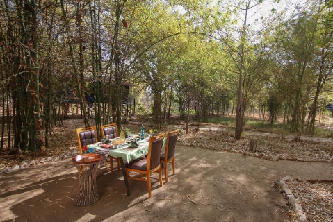 Resort Pench Wilderness Camp - Tap to explore photos