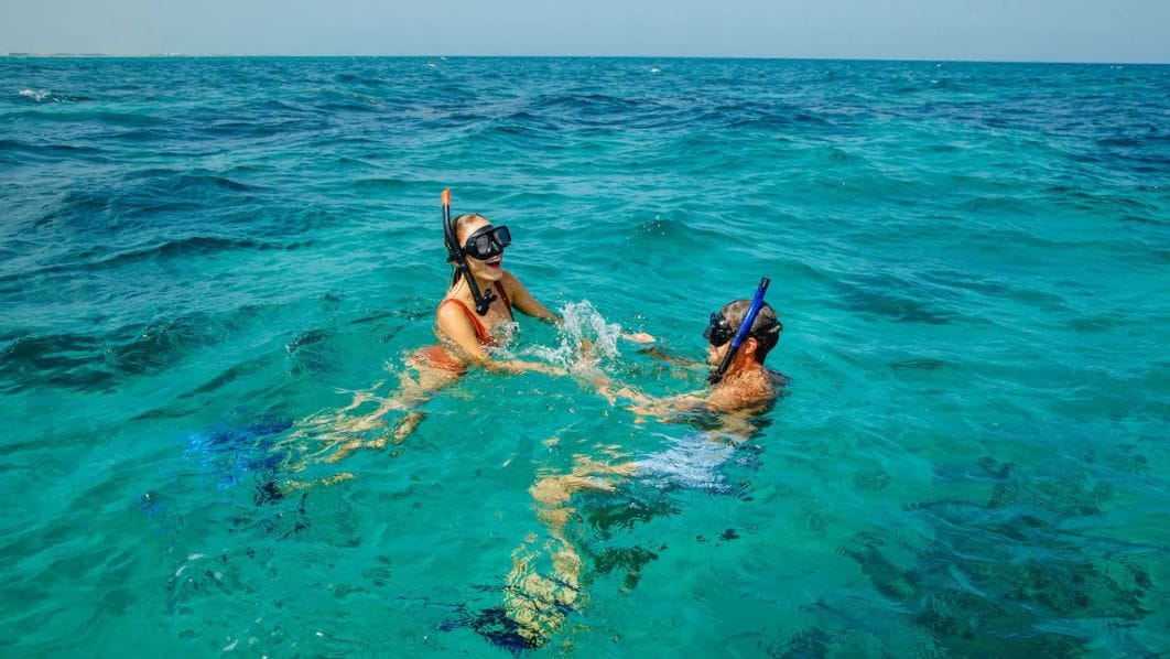 House-Reef Snorkelling