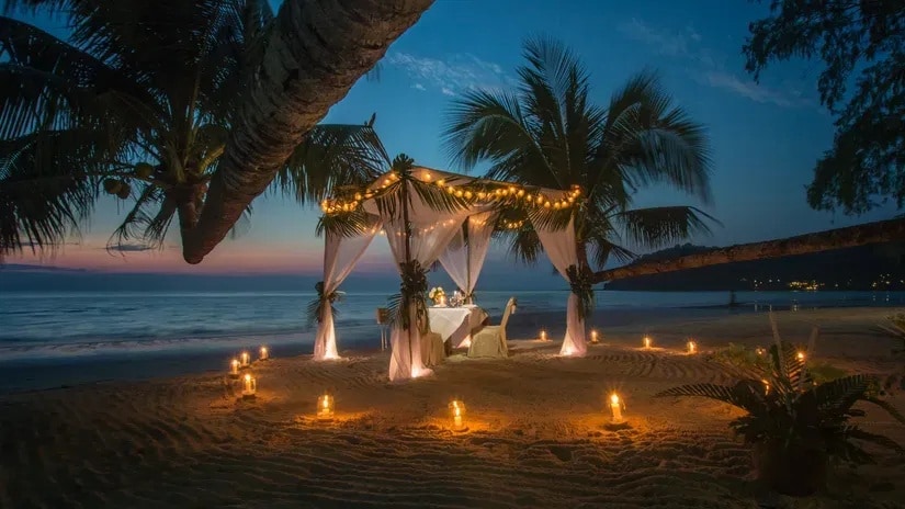 Symphony Samudra Beachside Jungle Resort & Spa - Tap to explore photos