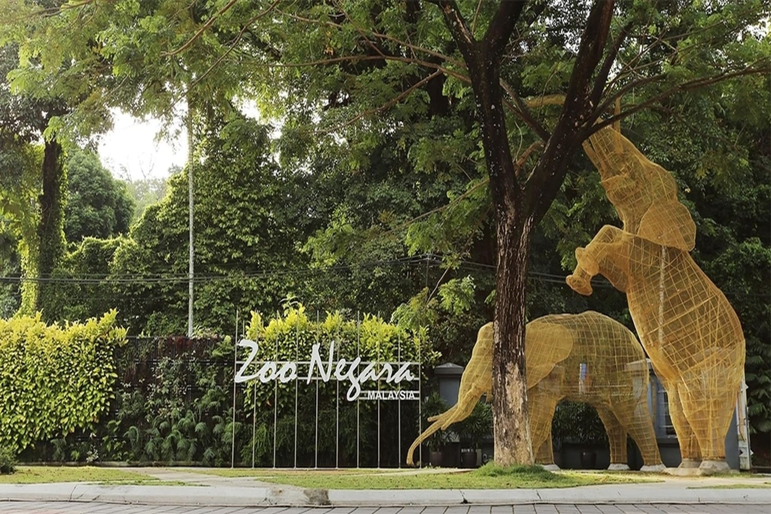 Zoo Negara Malaysia - National Zoo